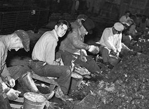 Back and white image of men working on shucking clams.