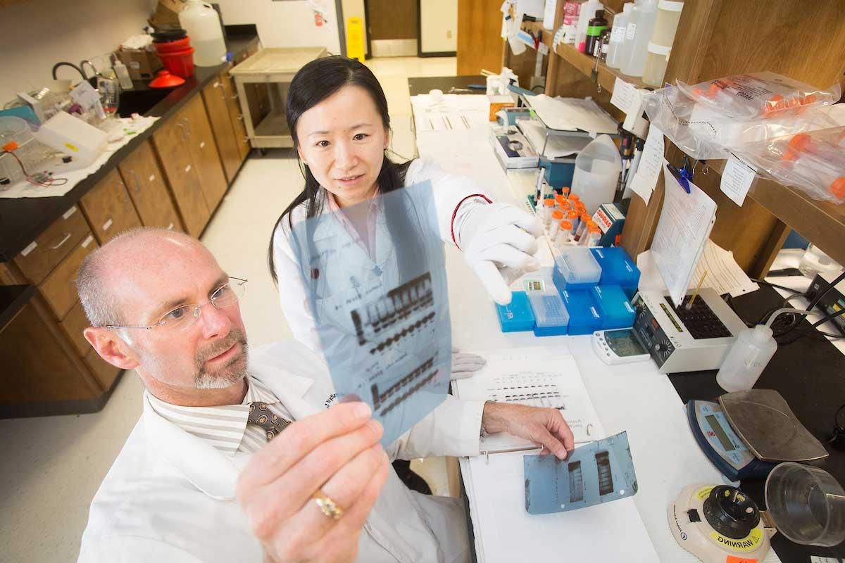 Photo of Dr. Stevens and student in the lab