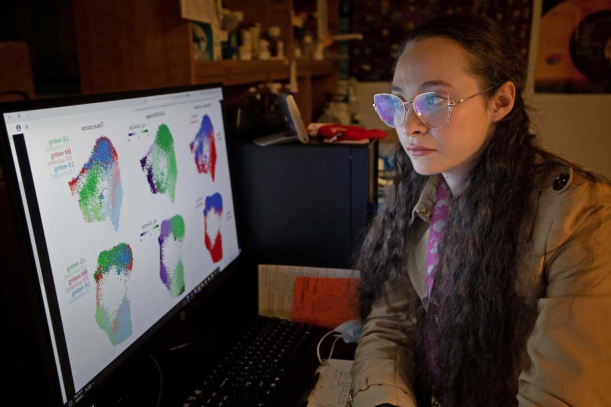 Photo of BMS student Rachel Rodenburg in the lab looking at he research on a computer